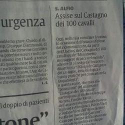 Sant Alfio - Riconoscimento Castagno dei cento cavalli